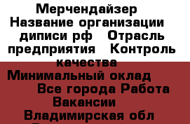 Мерчендайзер › Название организации ­ диписи.рф › Отрасль предприятия ­ Контроль качества › Минимальный оклад ­ 20 000 - Все города Работа » Вакансии   . Владимирская обл.,Вязниковский р-н